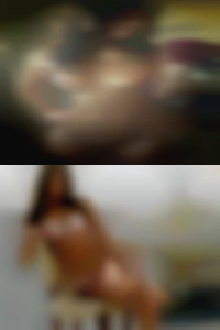 Iraidadonoto, , 