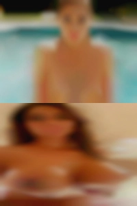 silaspavis, , 